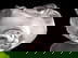 item-208410189=5