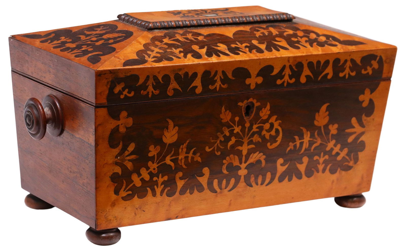 REGENCY MAHOGANY & MARQUETRY SARCOPHAGUS-FORM TEA CADDY (1 of 5)