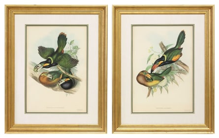 (2) JOHN GOULD ORNITHOLOGY LITHOGRAPHS OF TOUCANS