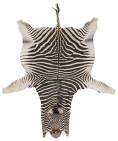 LARGE FORSYTH TAXIDERMY ZEBRA HIDE RUG, 125" X 83"