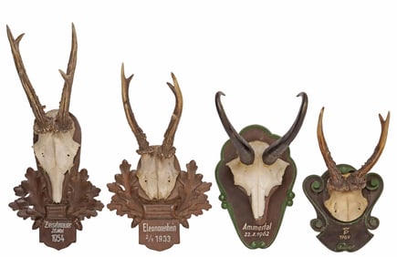 (4) BLACK FOREST DEER ANTLER & ANTELOPE HORN TROPHY MOUNTS ON PLAQUES
