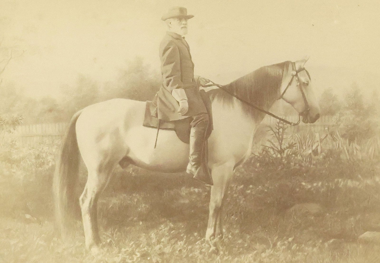 MICHAEL MILEY 1867 ALBUMEN PHOTOGRAPH, GEN. ROBERT E. LEE ON TRAVELLER (1 of 13)