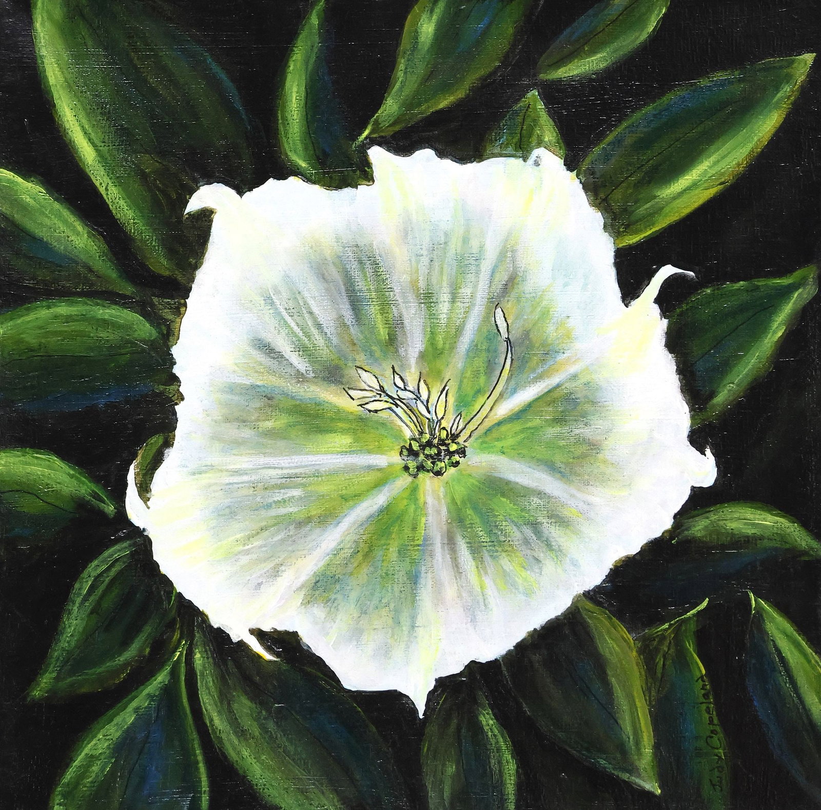 JUDY COPELAND (B.1943) ARCYLIC PAINTING 'MOONFLOWER': Gallery-wrapped acrylic on canvas painting, "Moonflower," signed lower right Judy Copeland (Louisiana, Texas, b.1943), titled on artist's label verso, overall: approx 12"h, 12"w, 1.5lbs