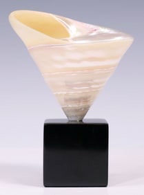 PEARLIZED TROCHUS NILOTICUS SEASHELL SPECIMEN