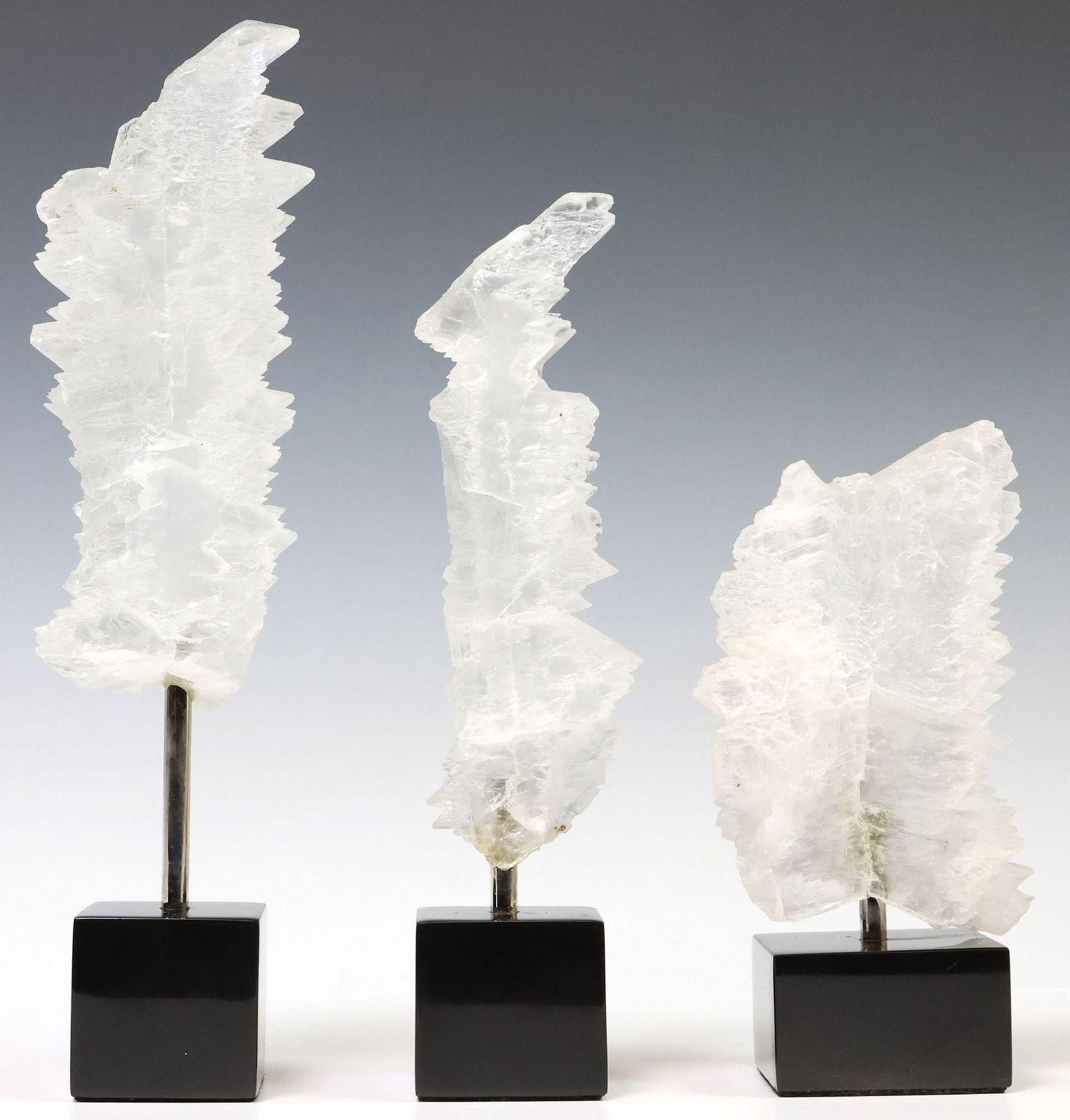 (3) GEOLOGICAL FISHTAIL SELENITE SPECIMENS ON BLACK MARBLE BASES (1 of 3)