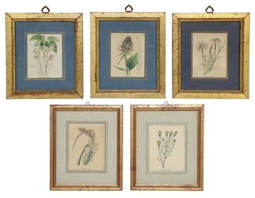 (5) SMALL-SCALE HAND-COLORED BOTANICAL ENGRAVINGS