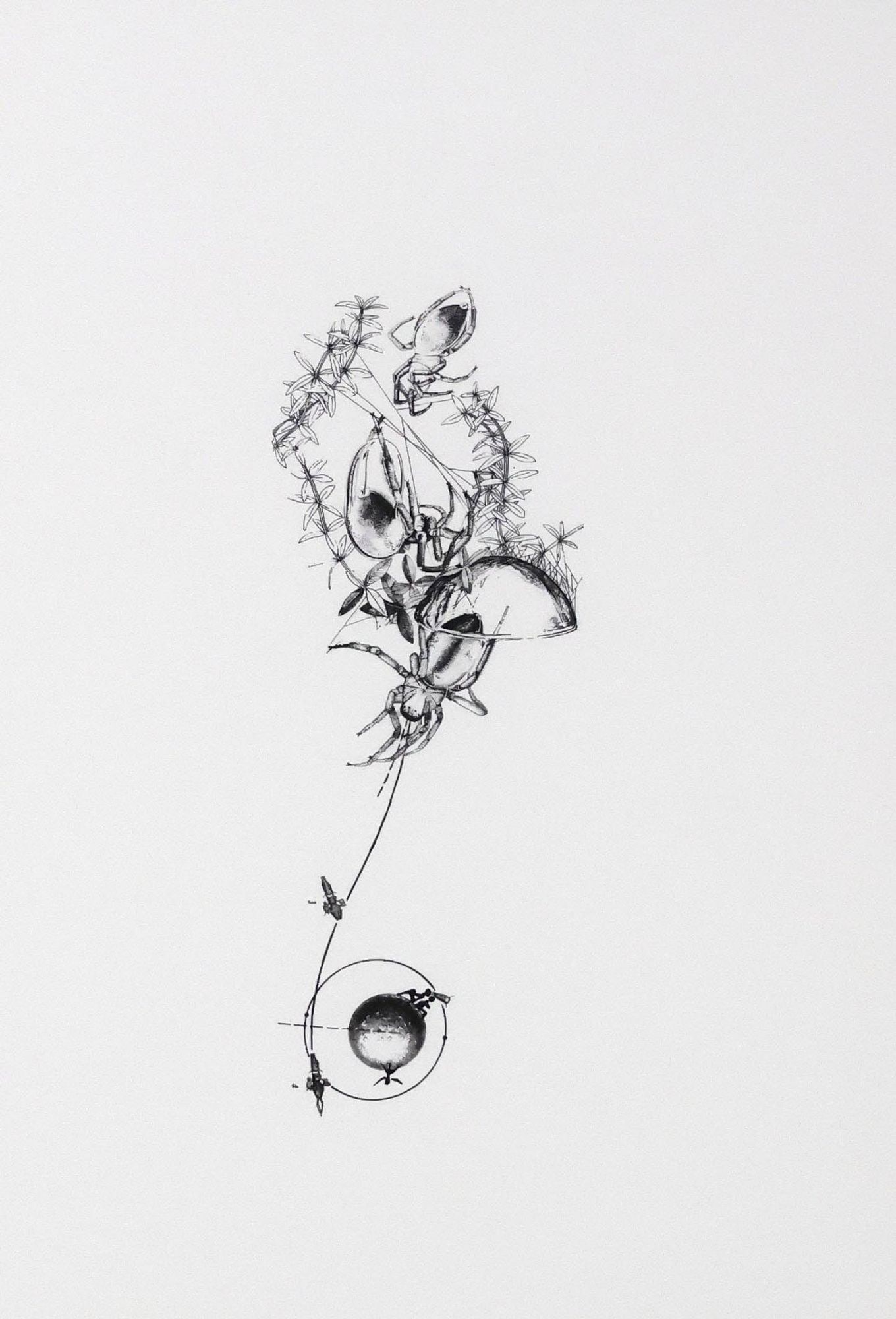 TOMAS SARACENO (ARG, B.1973) HAND-EMBELLISHED PRINT (1 of 4)