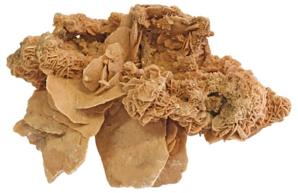 LARGE GEOLOGICAL DESERT ROSE SELENITE SPECIMEN