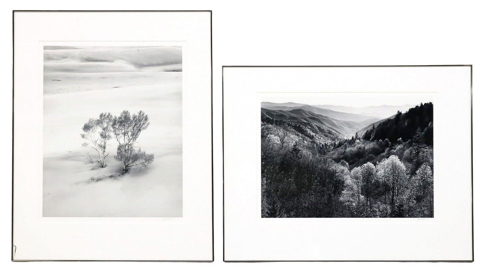 (2) JOHN WARD (B.1943) SIGNED BLACK & WHITE LANDSCAPE PHOTOGRAPHS: (lot of 2) Framed photographic prints, each pencil signed lower right John Ward (American, b.1943), from the Landscape Portfolio, numbered 37/ 50, titled and dated on artist's label verso, including: