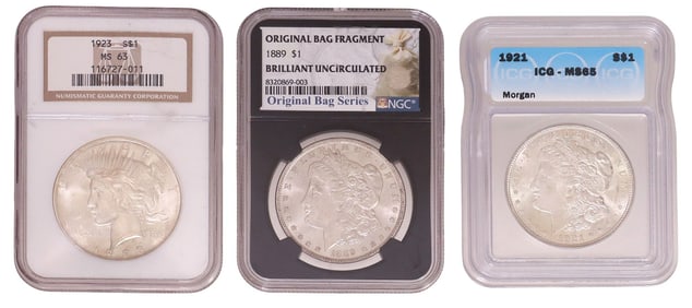 (3) U.S. MORGAN & PEACE SILVER DOLLARS, NGC & IGC GRADED