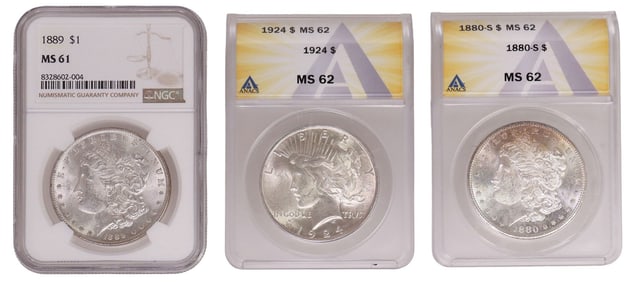 (3) U.S. MORGAN & PEACE SILVER DOLLARS, NGC & ANACS GRADED