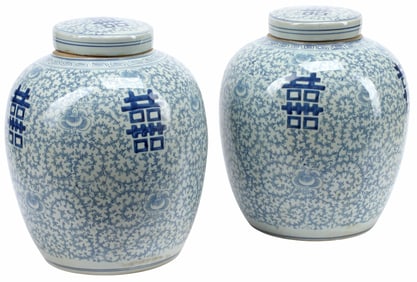 (2) CHINESE BLUE & WHITE PORCELAIN COVERED GINGER JARS