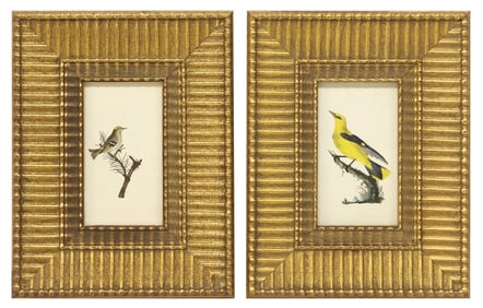 (2) AFTER EDWARD DONOVAN (D.1837) ORNITHOLOGY BIRD TINTED ENGRAVINGS