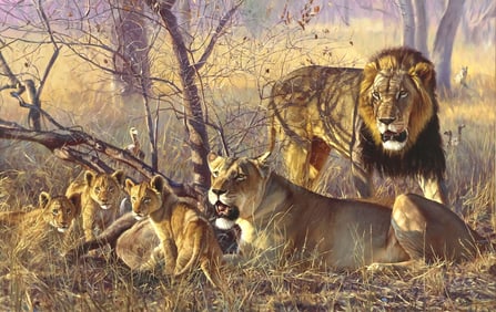 JOHN BANOVICH (B.1964) WILDLIFE LIONS PRINT, 'FORTUNE OF THE HUNTER,' 27" X 42"