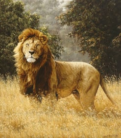 SIMON COMBES (D.2004) LION GICLEE PRINT ON CANVAS, 'SIMBA'