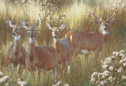 CARL BENDERS (B.1937) 'POWER & GRACE' LIMITED EDITION GICLEE PRINT