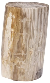 POLISHED PETRIFIED WOOD STUMP / SIDE TABLE, 18"H