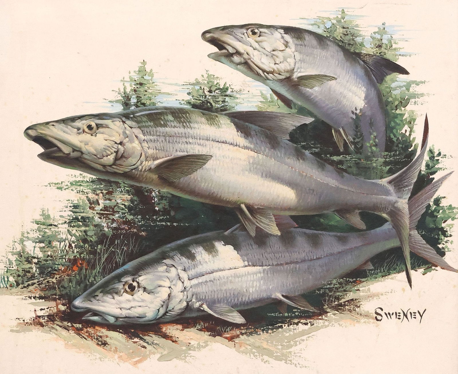 FRED SWENEY (B.1912) WILDLIFE FISH PAINTING, BONEFISH IN LUSH STREAM: Framed oil on board painting, Three Bonefish, signed lower right Sweney (Fred Sweney, American, 1912-1996), retaining American Wildlife Art Gallery, Coral Gables, Florida label verso, sight: approx 15