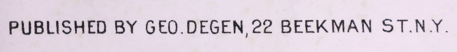 PERSPECTIVE MAP OF NEW YORK CITY FROM BATTERY PARK LITHOGRAPH, c.1874 - 4