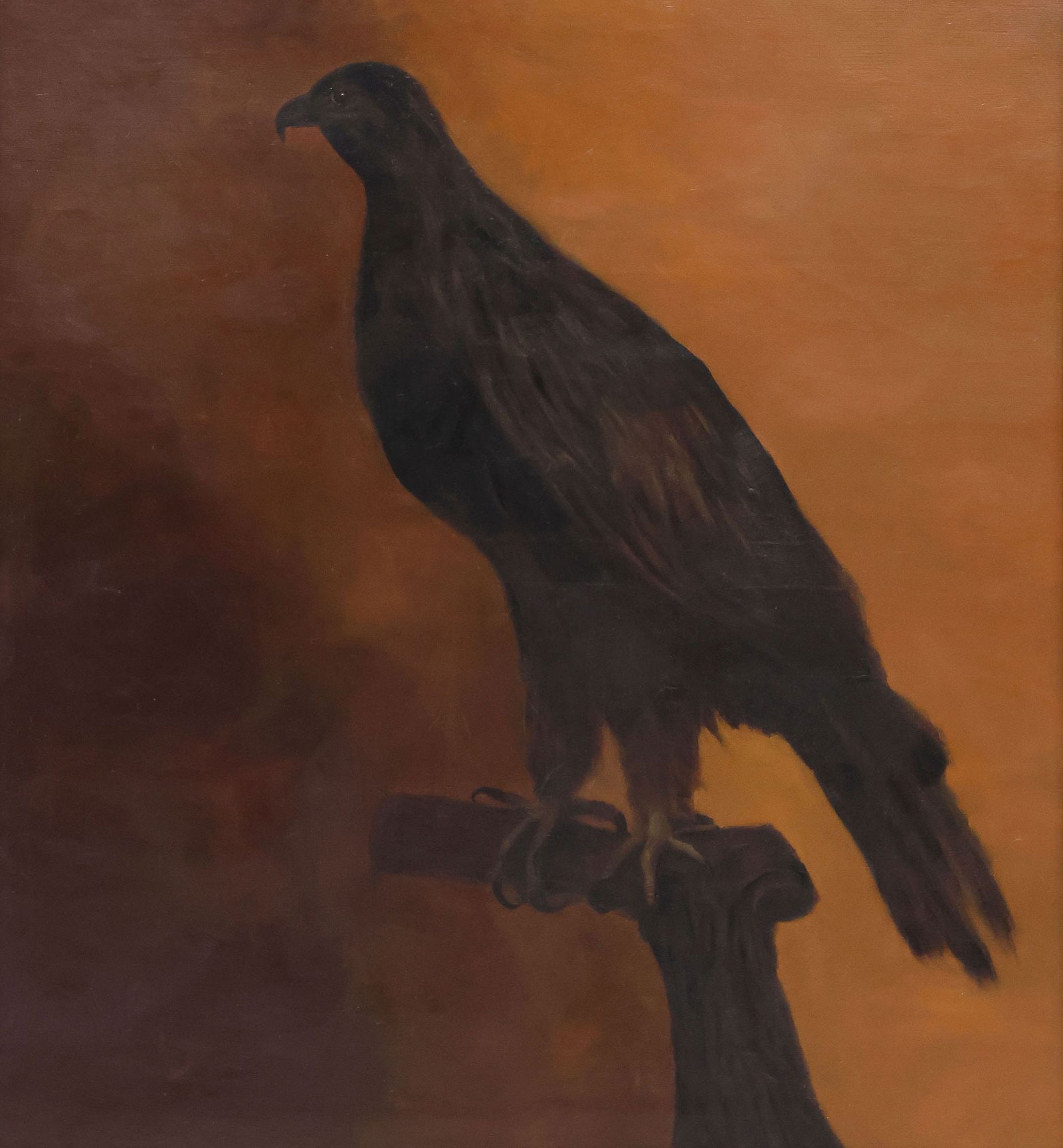 FRAMED AMERICAN SCHOOL (19TH C.) OIL PAINTING, PERCHED EAGLE, 35" X 32": Framed American School oil on canvas painting, Perched Hawk, apparently unsigned, retaining David Gallery and Framing, Austin, Texas label verso, accompanied by loose sheet with inked inscription "nee