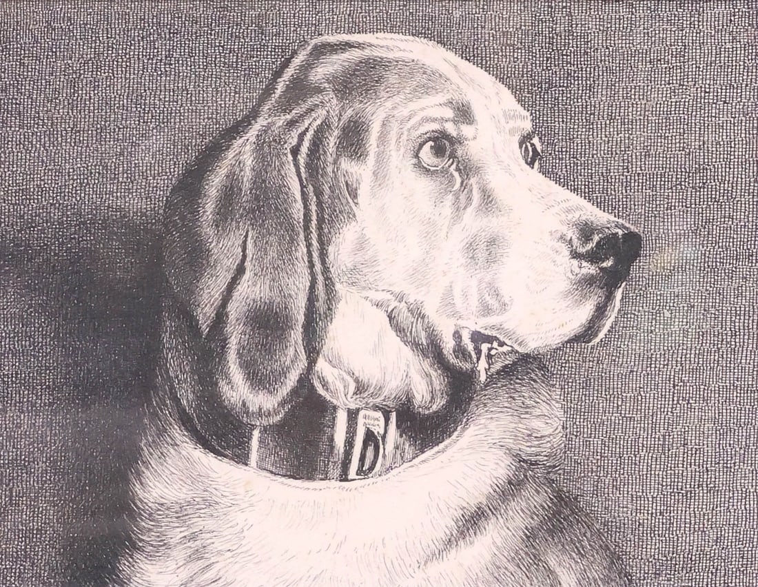 AFTER EDWIN LANDSEER (ENGLISH, D.1873) BLOODHOUND DOG ENGRAVING, 'ODIN' (1 of 7)