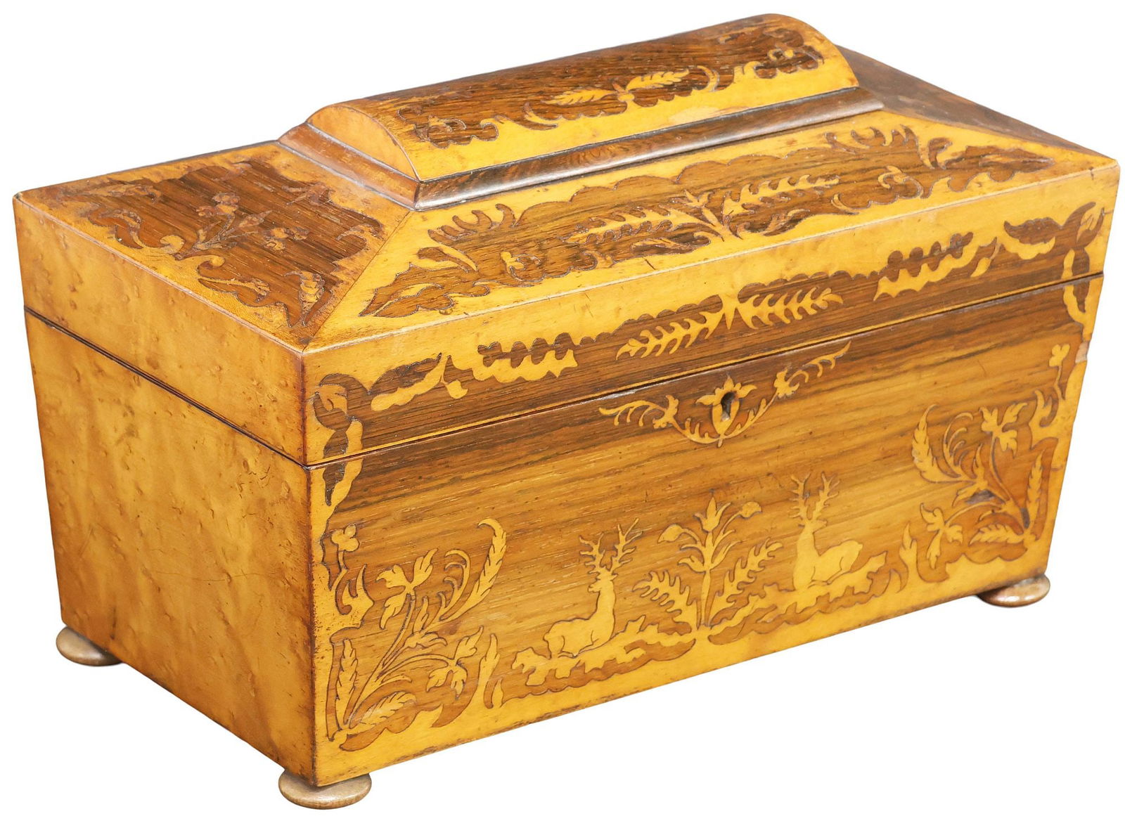 ENGLISH REGENCY PERIOD INLAID MAHOGANY SARCOPHAGUS-FORM TEA CADDY (1 of 5)