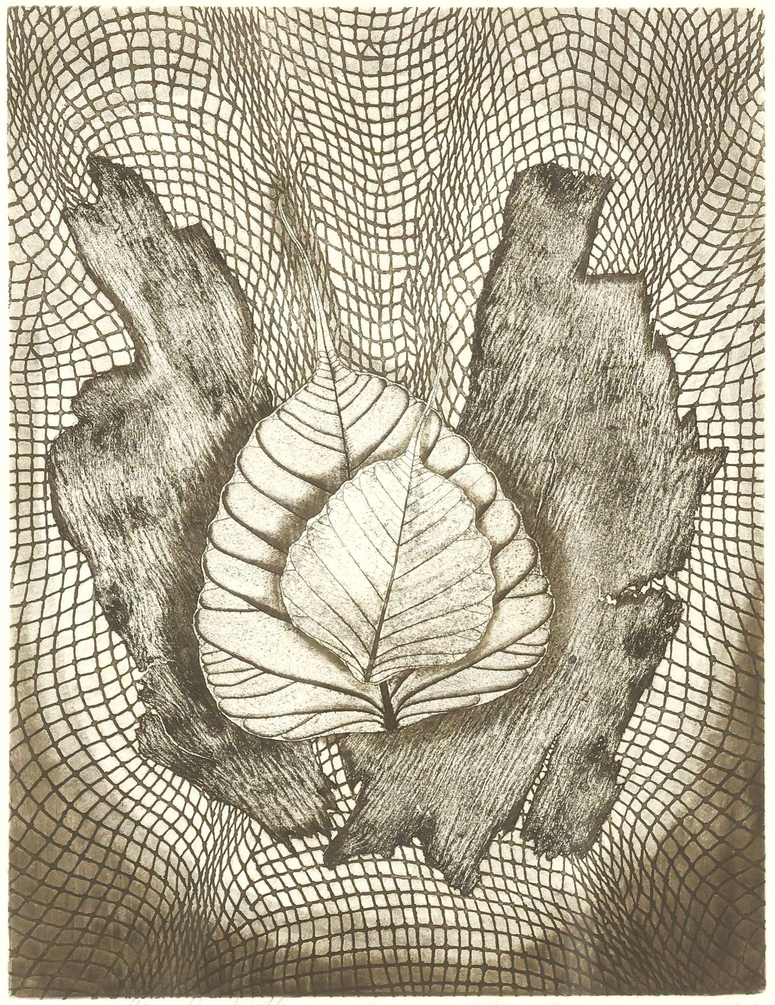 ARYEH ROTHMAN (ISRAELI-AUSTRIAN, 1921-2007) AQUATINT, ENMESHED LEAVES (1 of 5)