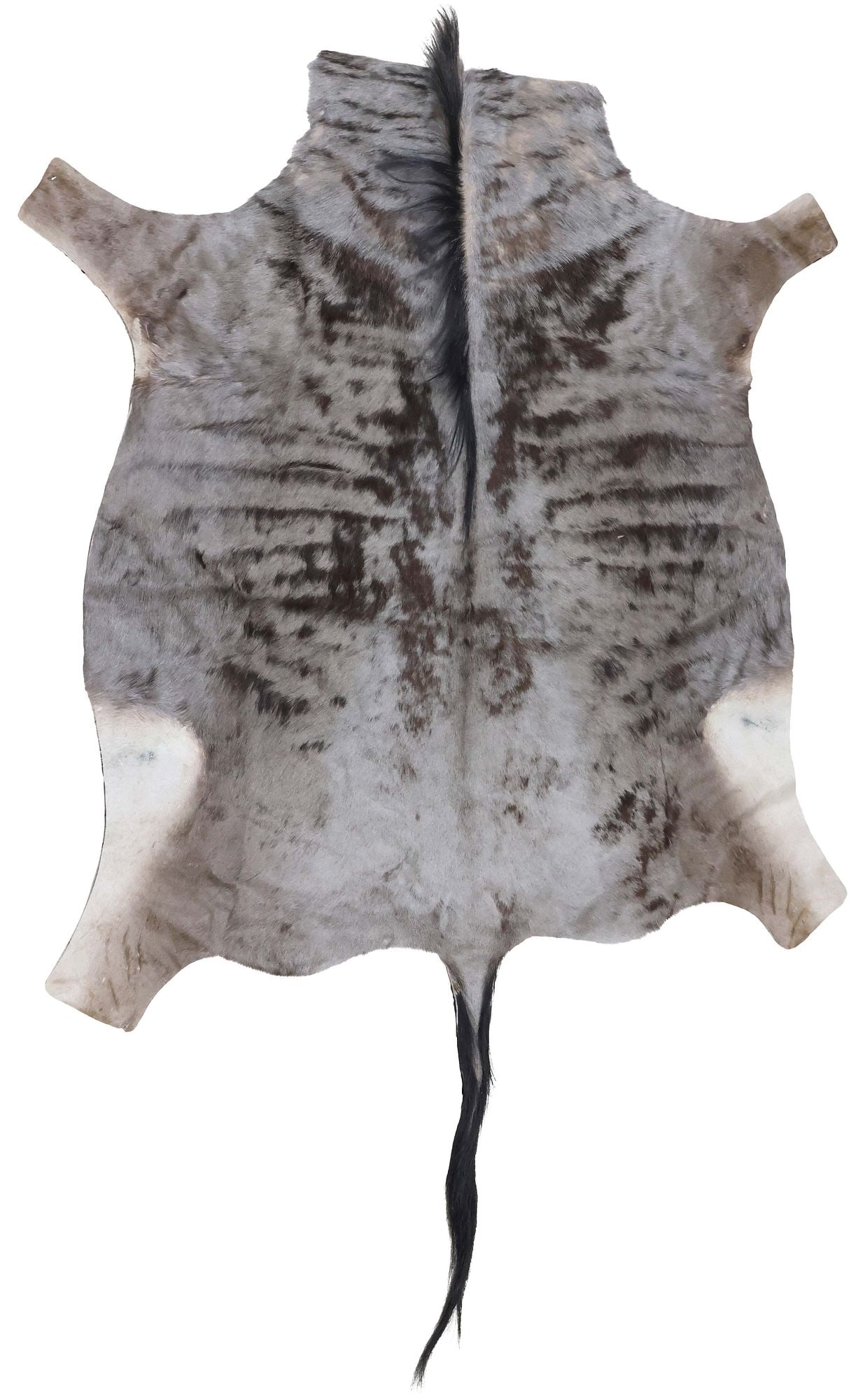 LARGE TAXIDERMY WILDEBEEST HIDE RUG 61" X 56" (1 of 3)
