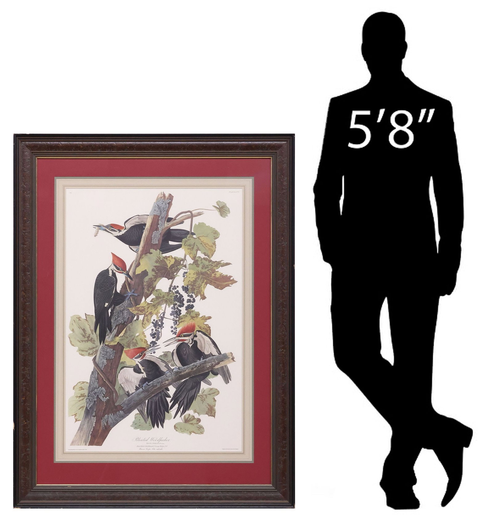 AFTER J.J. AUDUBON (1785-1851) LIMITED-EDITION WILDLIFE PRINT, WOODPECKER (1 of 8)