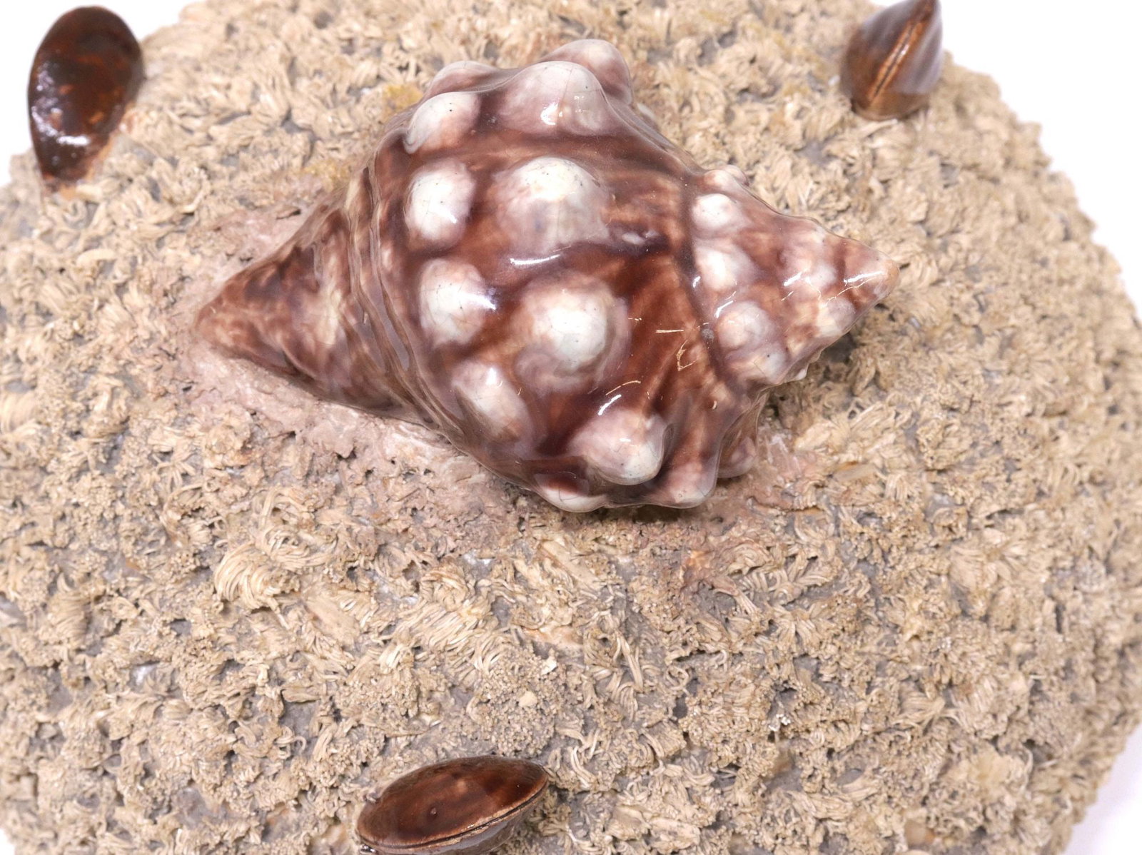 CONTINENTAL PALISSY WARE FAIENCE LIDDED SEASHELL KEEPSAKE BOX - 3