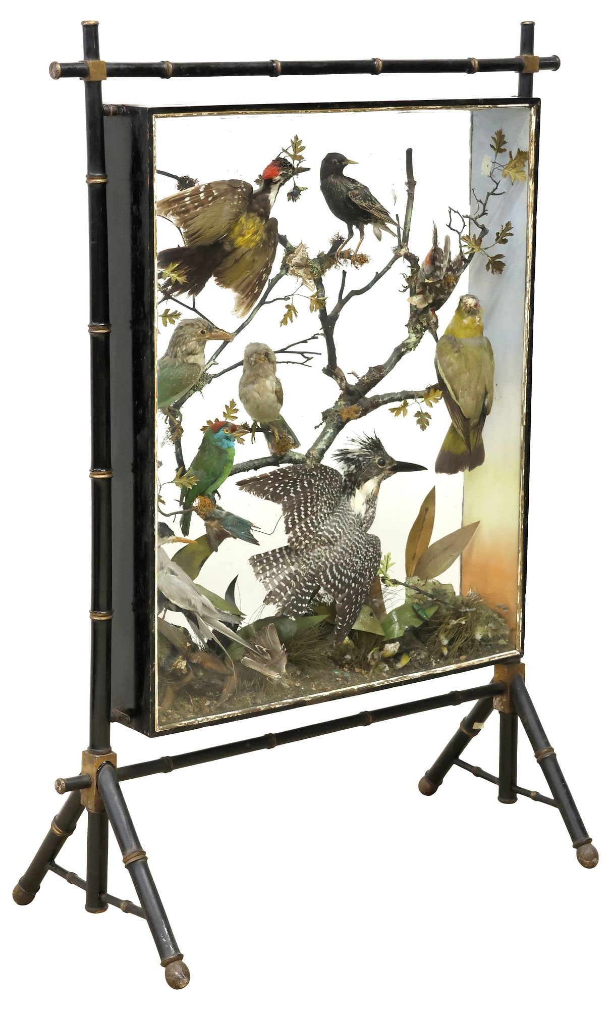 VICTORIAN TAXIDERMY BIRD DIORAMA ON FAUX BAMBOO STAND (1 of 5)