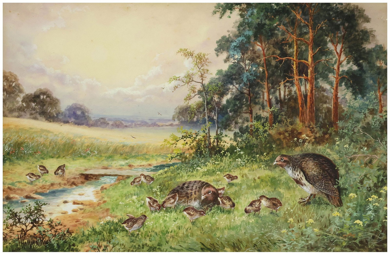 JOSEPH HALFORD-ROSS (1866-1909) WATERCOLOR WILDLIFE PAINTING, PARTRIDGES (1 of 4)