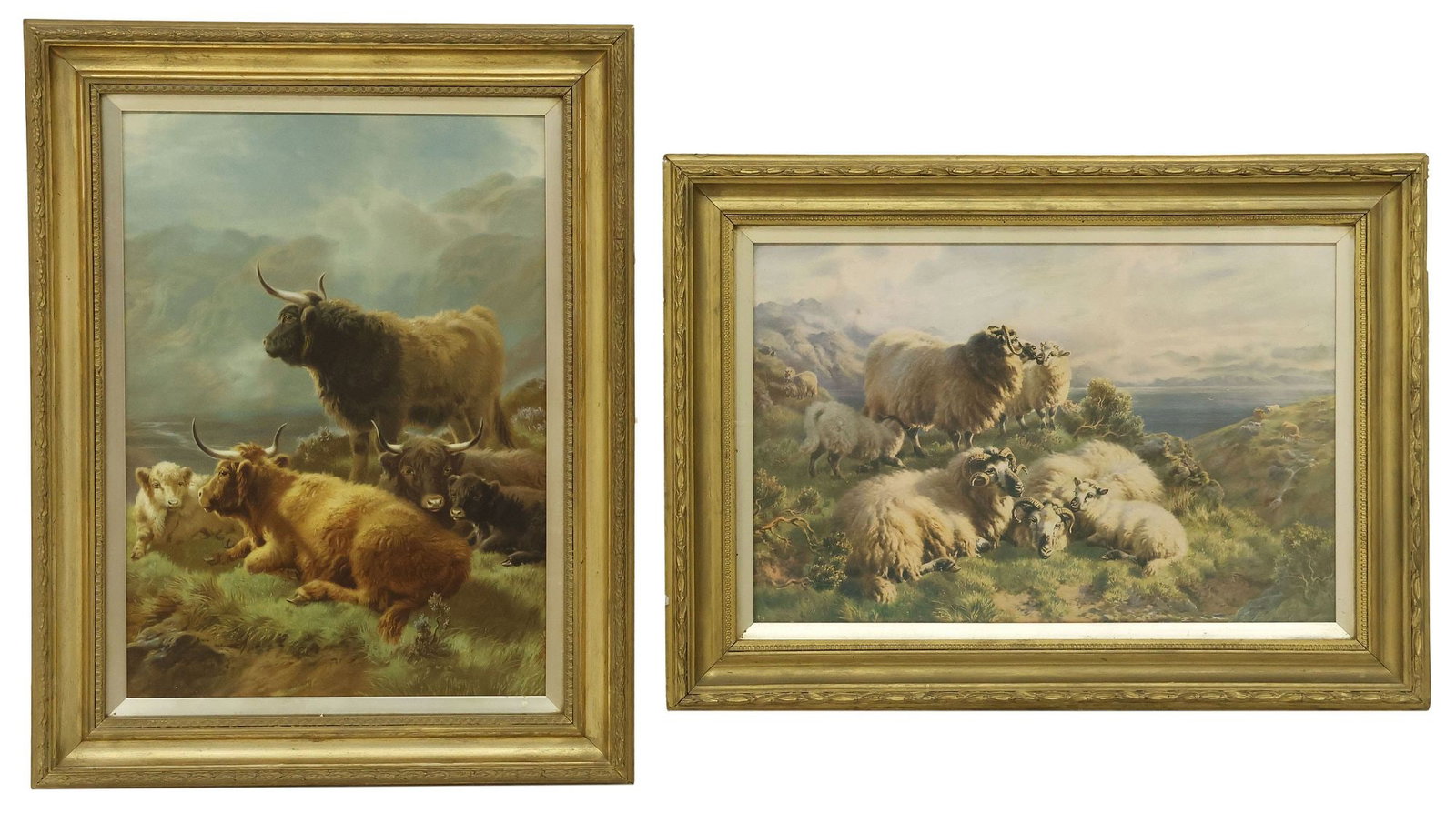 (2) FRAMED PRINTS, HIGHLAND CATTLE & SHEEP IN SCOTTISH LANDSCAPES (1 of 4)