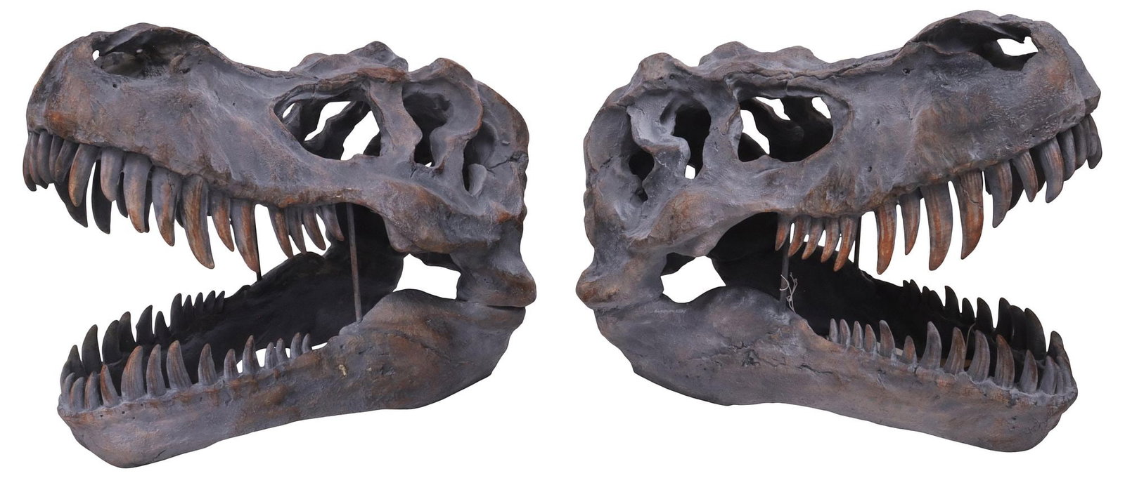 (2) DECORATIVE CAST RESIN T-REX SKULL SCULPTURES (1 of 6)