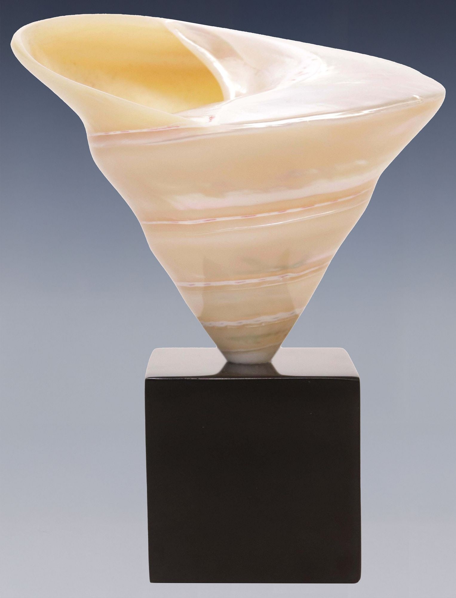 GEOLOGICAL SPECIMEN PEARLIZED TROCHUS NILOTICUS SHELL ON MARBLE BASE (1 of 3)