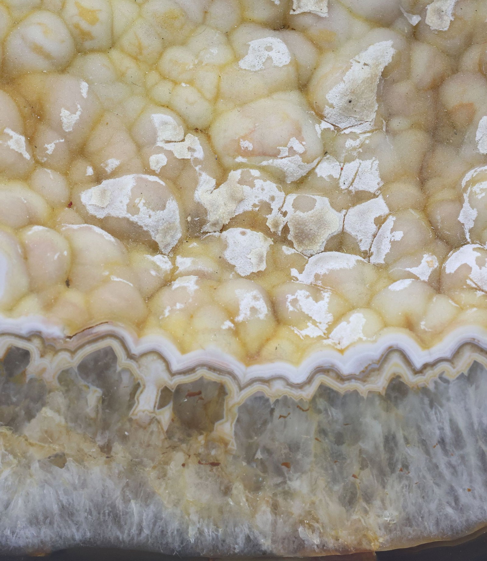 LARGE GEOLOGICAL AGATE GEODE WITH BOTRYOIDAL CLUSTERS - 2