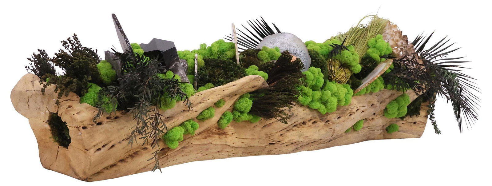 LARGE PRESERVED BOTANICAL & GEOLOGICAL SPECIMEN CENTERPIECE ARRANGEMENT, 75"L (1 of 8)