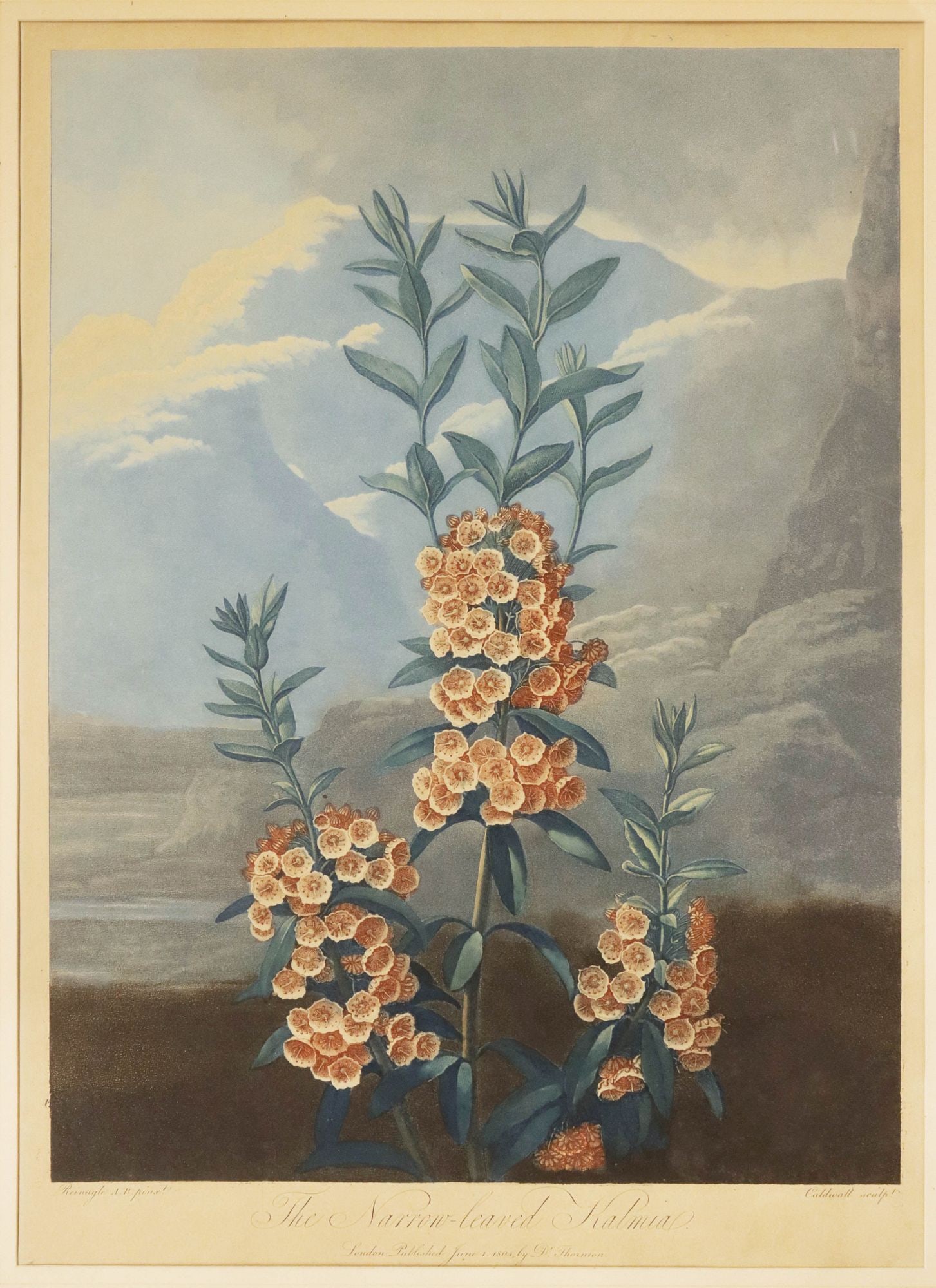ROBERT JOHN THORNTON (ENGLISH, 1768-1837) BOTANICAL PRINT, 'TEMPLE OF FLORA' (1 of 4)