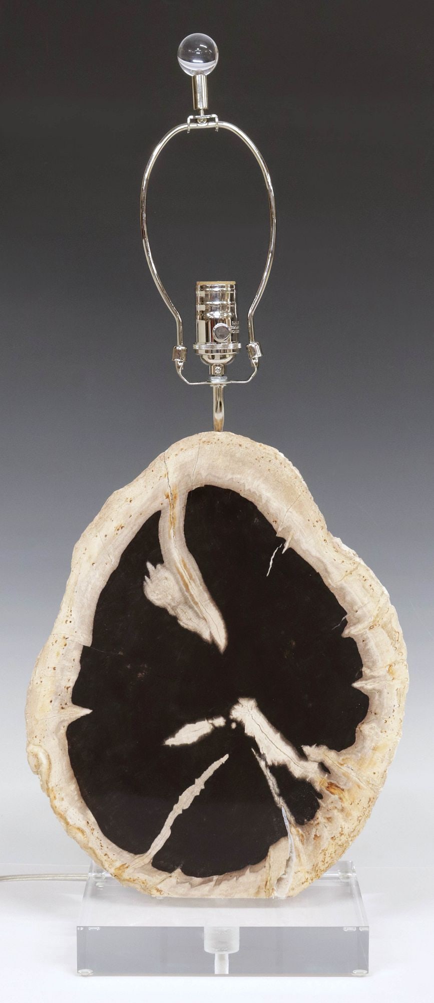 GEOLOGICAL PETRIFIED WOOD SPECIMEN 1-LIGHT LAMP ON ACRYLIC BASE (1 of 4)
