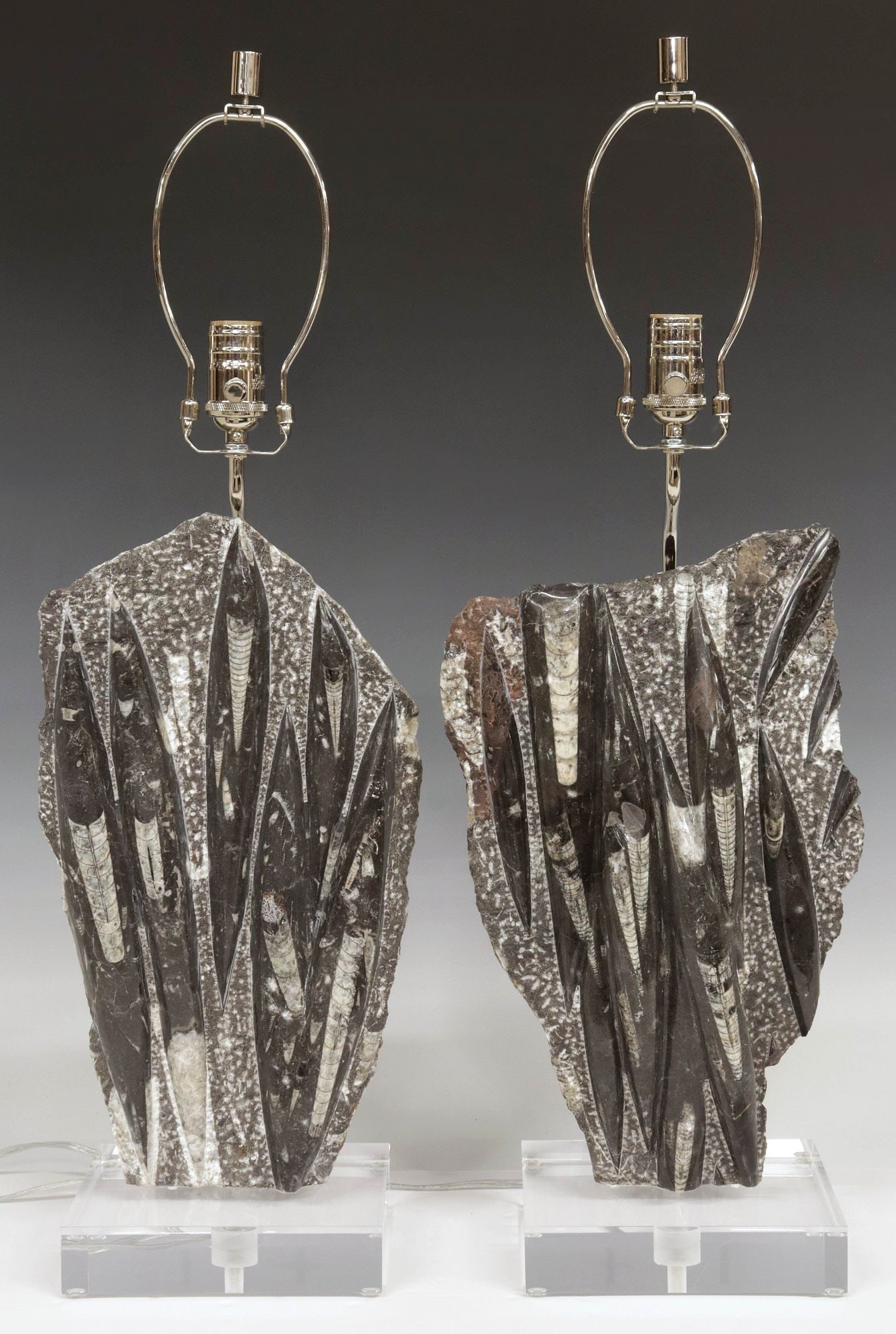 (2) GEOLOGICAL ORTHOCERAS FOSSEL 1-LIGHT TABLE LAMPS ON ACRYLIC BASES (1 of 4)