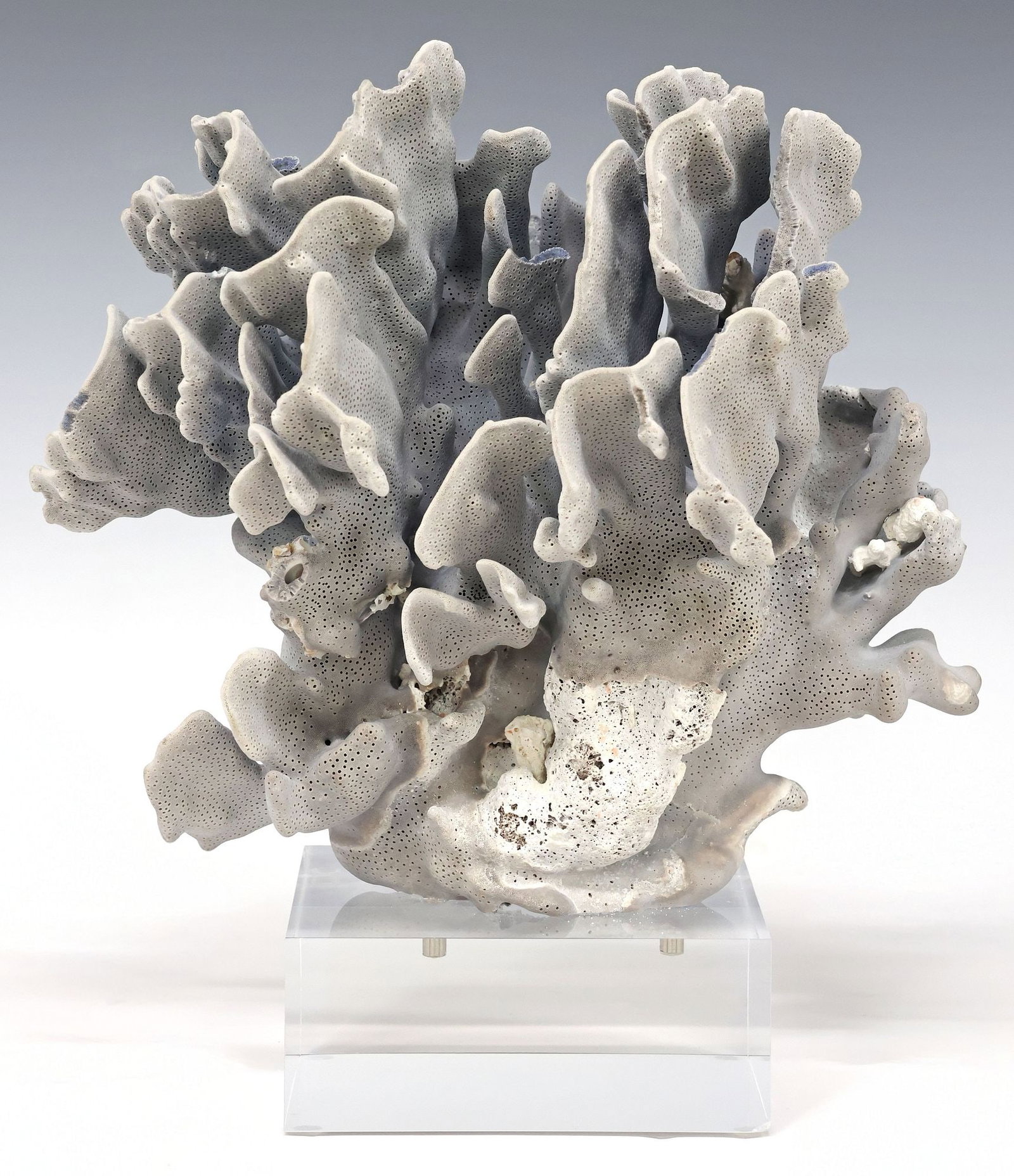 GEOLOGICAL BLUE CORAL SPECIMEN ON CLEAR ACRYLIC BASE: Geological blue coral cluster, on colorless acrylic base, specimen: approx 9"h, 10.25"w, 8"d, overall: approx 11.5"h, 10.25"w, 8"d, 8.75lbs