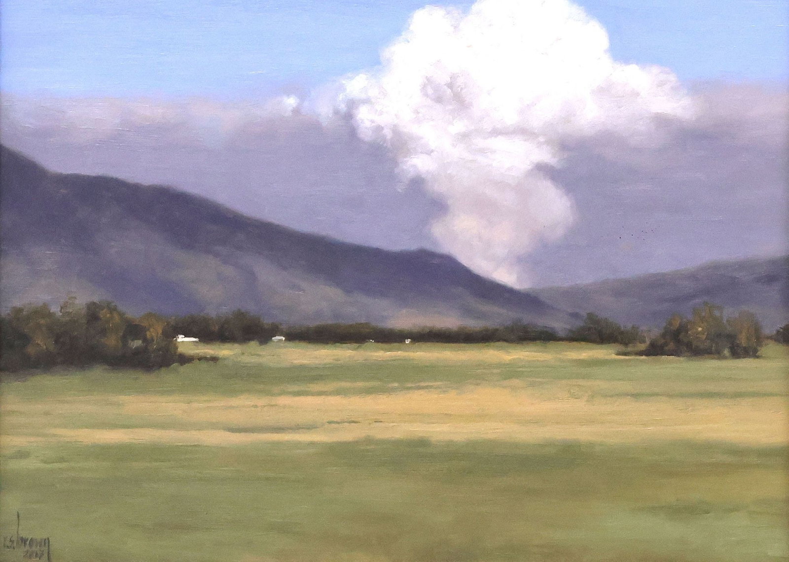 RYAN S. BROWN (AMERICAN, 20TH C.) NATURALIST OIL PAINTING, 'CANYON FIRE' (1 of 6)