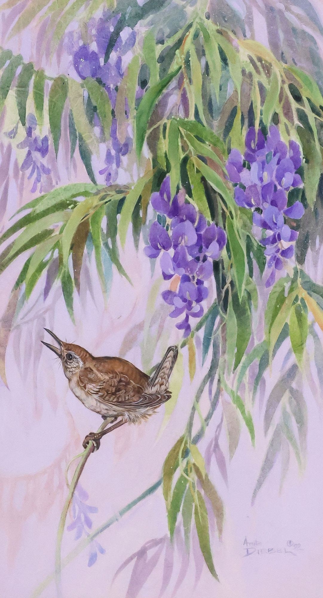 ANITA DIEBEL (ROCKPORT, TEXAS, 20TH C.) WATERCOLOR PAINTING, WREN IN WISTERIA: Framed watercolor painting on paper, "Wren in the Wisteria," signed lower right Anita Diebel (Rockport, Texas, 20th c.), dated [19]92, retaining artist's label verso, titled on artist's statement adhe