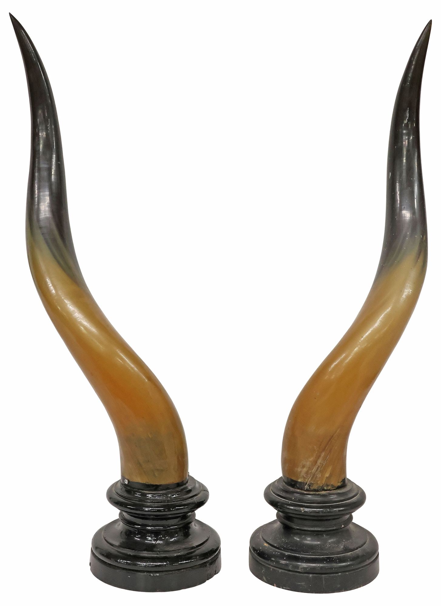 (2) LARGE TAXIDERMY MOUNTED HORN TROPHIES, 32"H: (pair) Large ounted trophy horns, each on integral turned-form socle, one horn with small imperfection/breaks near base, overall: approx 32"h, 9.5"w, 7"d, 17.5lbs total
