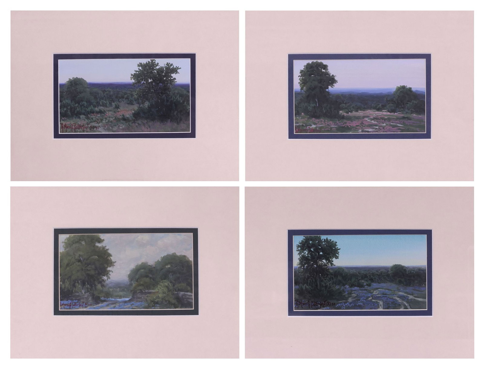 (4) RICK MORRIS PATTERSON (TX. B.1958) HILL COUNTRY LANDSCAPE PAINTINGS (1 of 7)