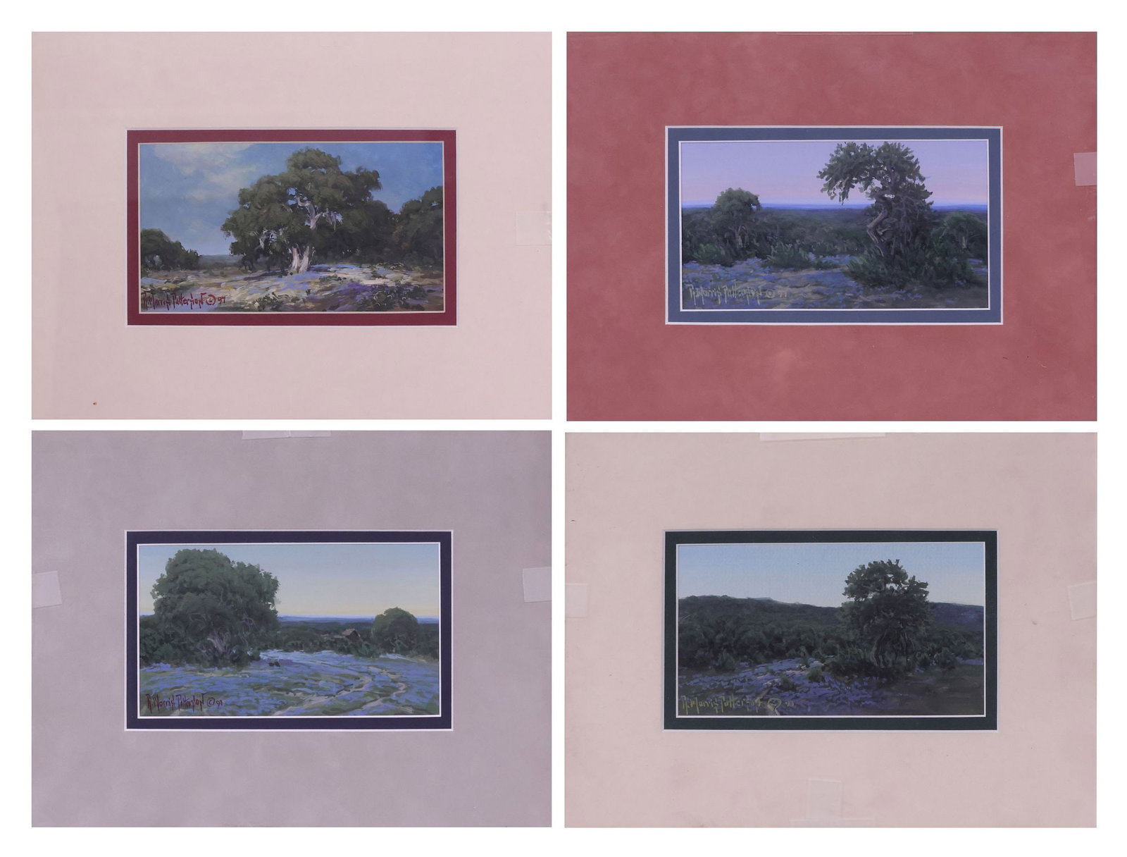(4) RICK MORRIS PATTERSON (TX. B.1958) HILL COUNTRY LANDSCAPE PAINTINGS (1 of 7)