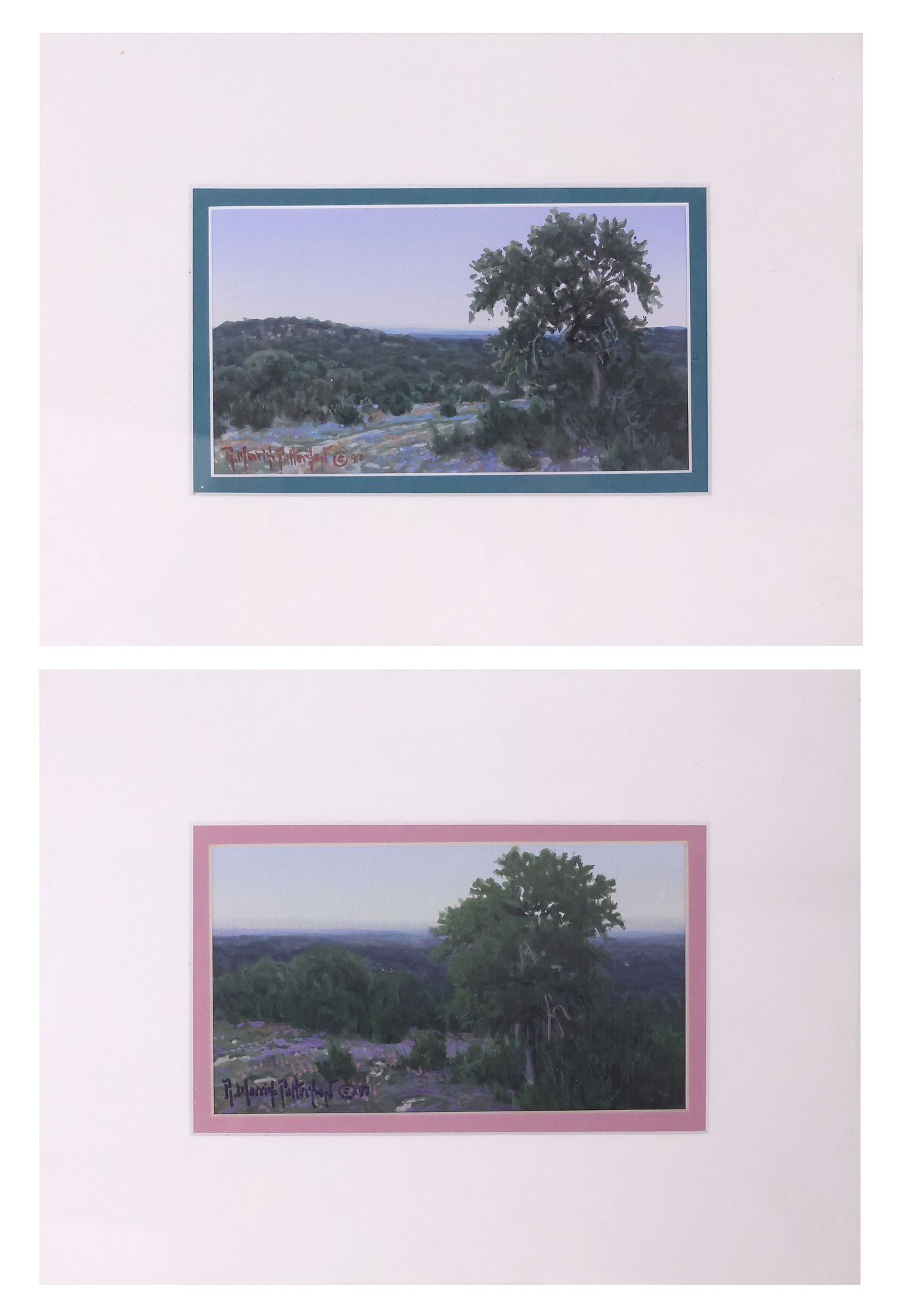 (2) RICK MORRIS PATTERSON (TX. B.1958) HILL COUNTRY LANDSCAPE PAINTINGS (1 of 6)