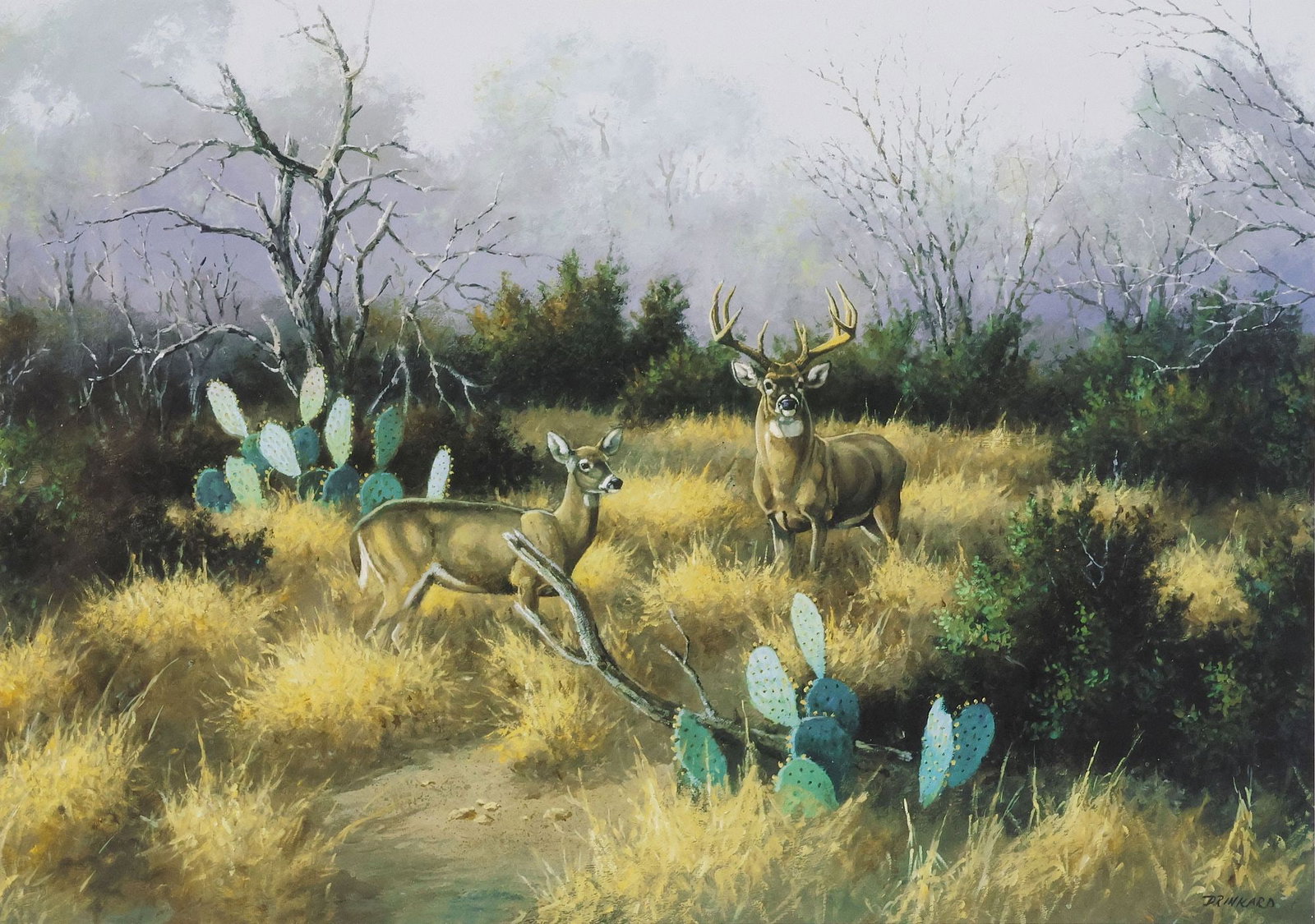 DAVID DRINKARD (TEXAS, D.2016) WILDLIFE PRINT, SOUTH TEXAS WHITETAIL: Framed offset lithograph on paper, "South Texas Whitetail," signed Drinkard (David Drinkard, Texas, 1948-2016), in print and pen, Texas Buckskin Brigade emblem to center, sight: approx 22"h, 27"w, ove