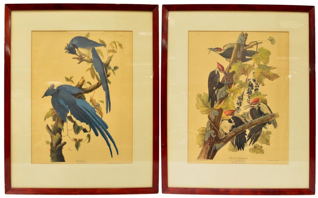 (2) BIRD ENGRAVINGS, ROBERT HAVELL AFTER AUDUBON: (lot of 2) Framed prints on paper, each engraved, printed and colored by Robert Havell (English, 1793-1878), after the original by John James Audubon (French American, 1785-1851), from the "Birds of A