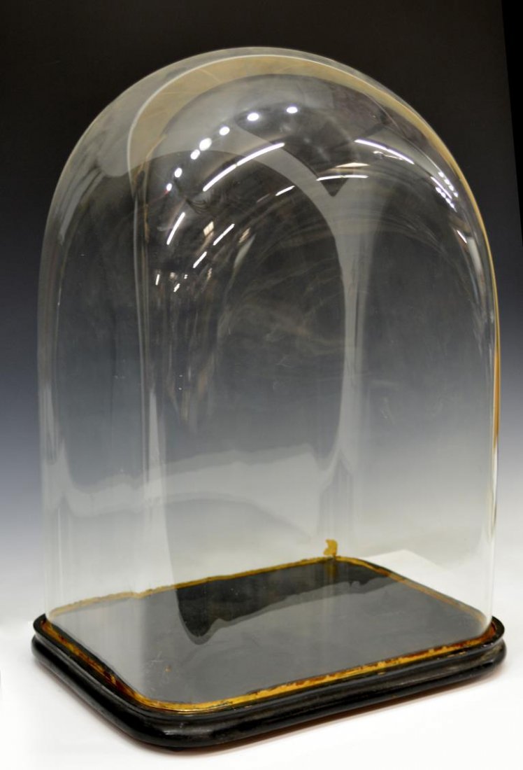 LARGE CONTINENTAL ANTIQUE GLASS DOME DISPLAY